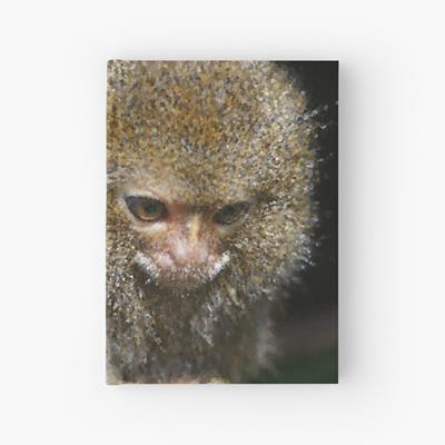 Adorable Curious Monkey