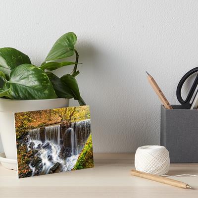 Autumn Forest and Stream