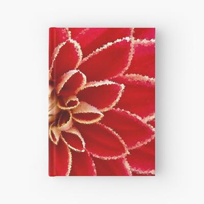 Big Red Dahlia