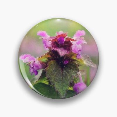 Blooming Wildflower