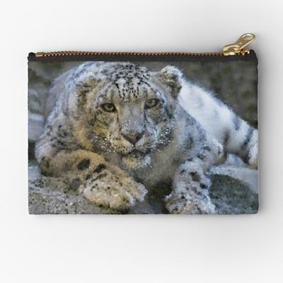 Curious Snow Leopard