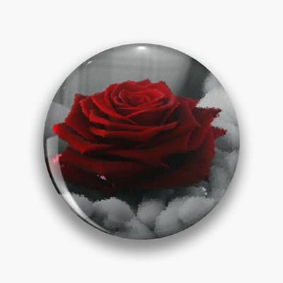 Full Rose in Hands