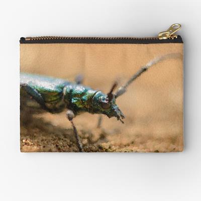 Iridescent Green Musk Beetle