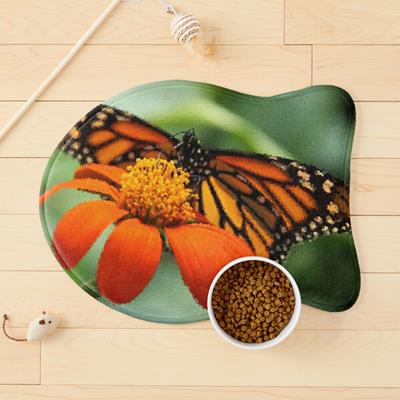Monarch Butterfly and Flower