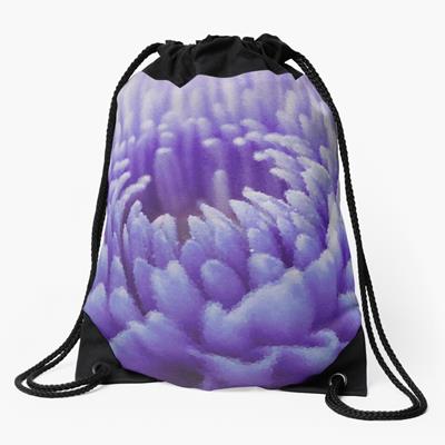 Purple Dahlia