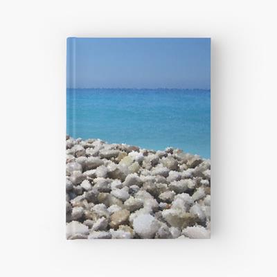 Stony Tropical Beach