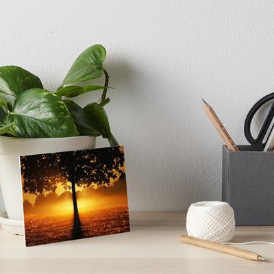 Sunset Tree
