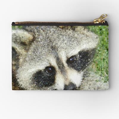 The Cutest Raccoon