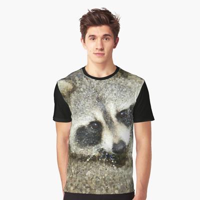 The Cutest Raccoon