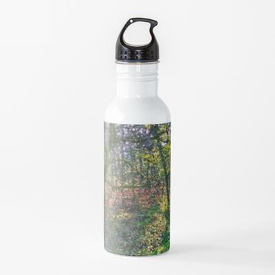 Vivid Autumn Forest