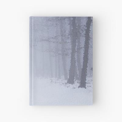 Walk Through Snowy Forest