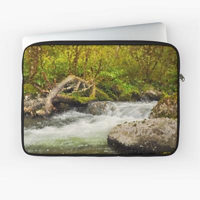 White Water in a Rocky Stream